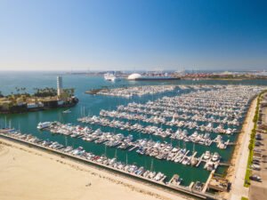 DJI_0513